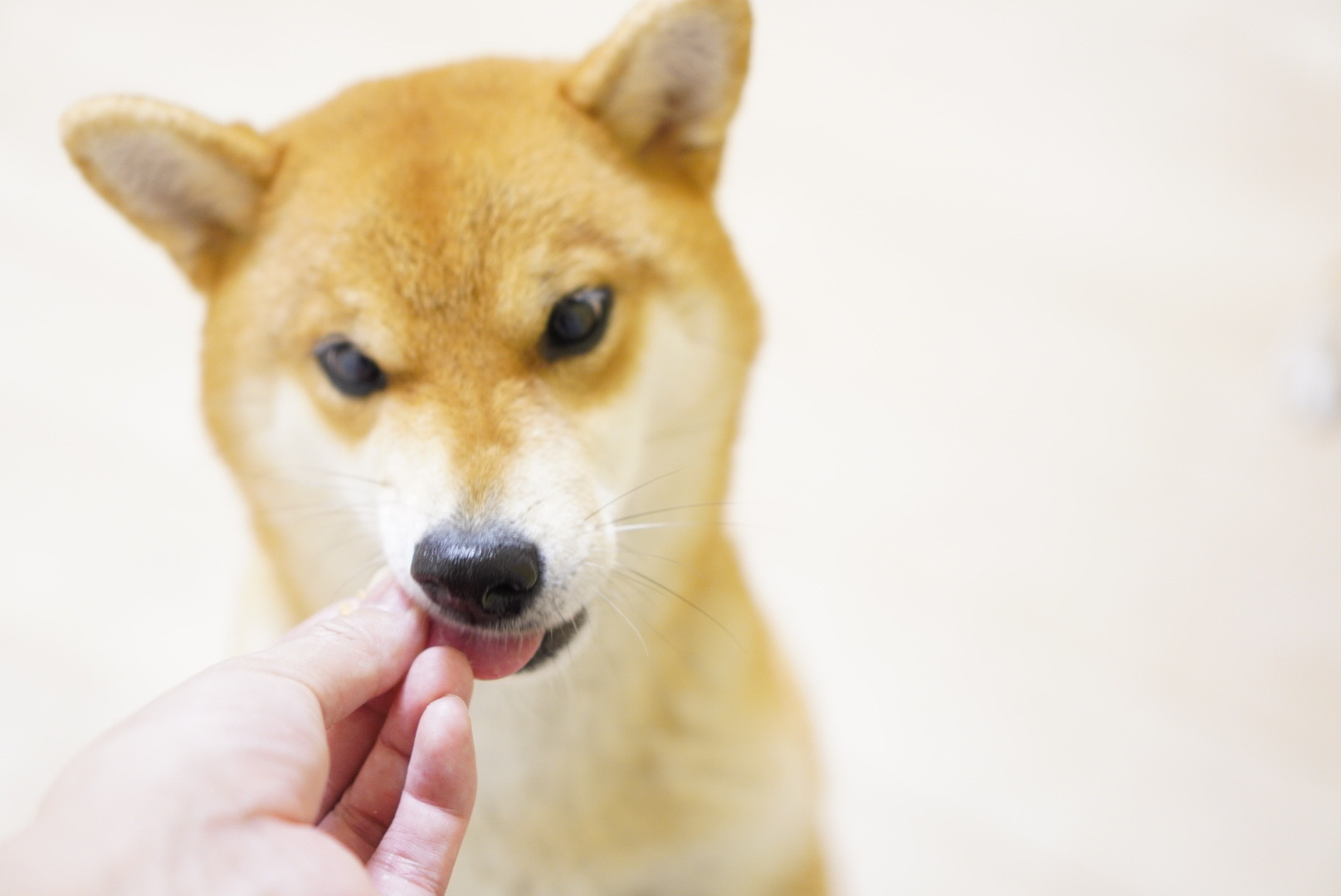 香りが立ちやすい設計